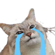cryingcat emoji