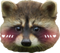 uwuraccoon emoji