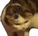 kittyloading emoji