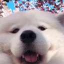 floofer emoji