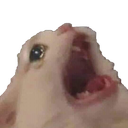 reCatRee emoji