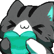 CatHugHeartAnimated emoji
