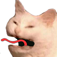 reCatREEE emoji