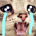 cat_nooooo_cry emoji