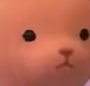 NPF_Nani emoji