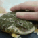 petfrog emoji