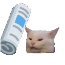 catbap emoji