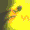 catrainbow3 emoji