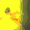 catrainbow4 emoji