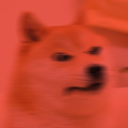 hyperdoge emoji
