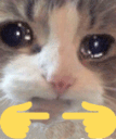 cattofingies emoji