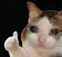 sad_cat emoji