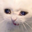 c4l_CatCry emoji