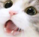 c4l_CatRawr emoji
