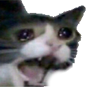 c4l_scremmycat emoji