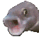 poggerfish emoji