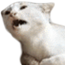 cate emoji