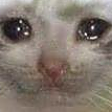 SadCat emoji