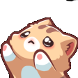 begcat emoji