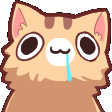 derpcat emoji