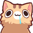 derpcat emoji