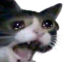 catcrine emoji