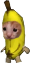 meow emoji