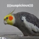 SuspicionsBirb emoji