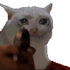 catshoot emoji