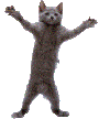 Dancing_Cat emoji