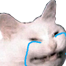 catCRYYYY emoji