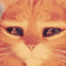 cateyes emoji