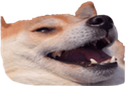 doge emoji