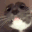 8050_catEEE emoji
