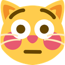 flushed_cat emoji