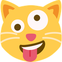 zany_cat emoji