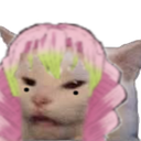 Mitsuri_Catto emoji