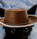 cat_country emoji