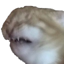 cat_freakout emoji