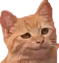 Oasis_Anti_SmugCat emoji