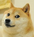 doge emoji