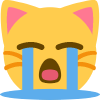 9999_catCry emoji