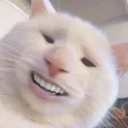 catsmile emoji