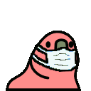 VZrainbowbirbpartymask emoji