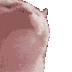 hypercatjam emoji