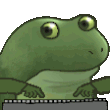 froghax emoji