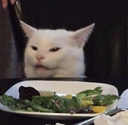 catewww emoji