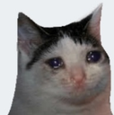 sadcat emoji