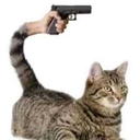 catgun2 emoji