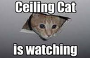Ceiling_cat_is_watching_you emoji